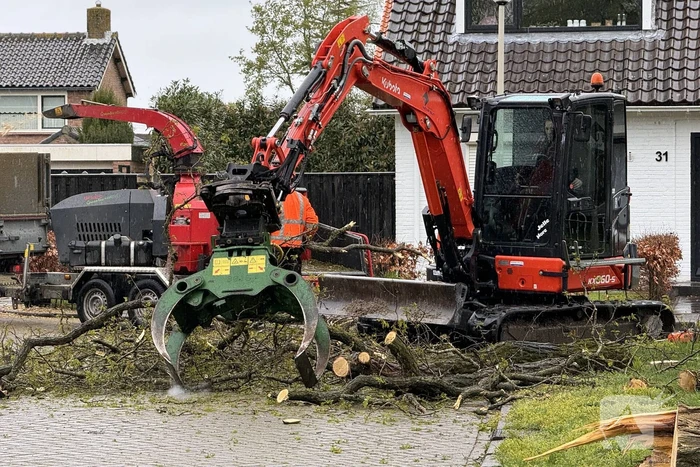 Boom breekt af na rukwinden