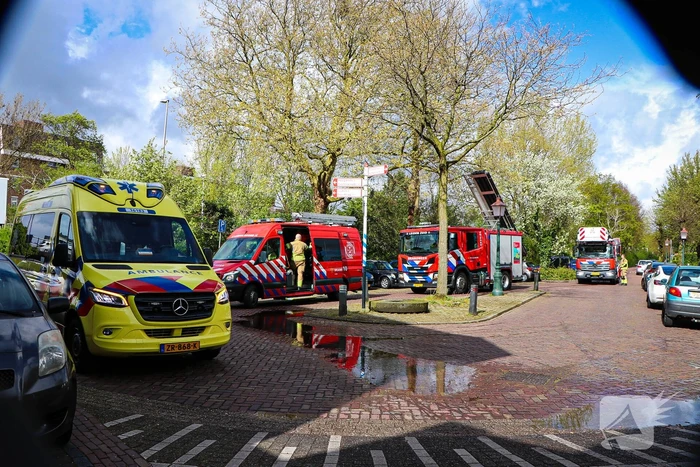 Omstanders alarmeren brandweer na hulproep uit water