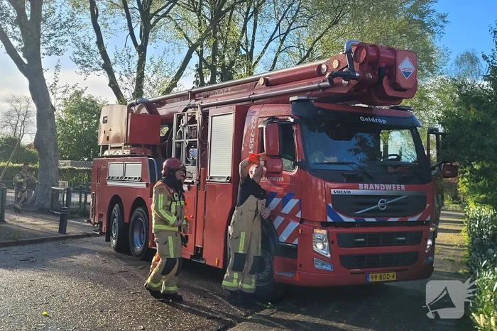 Grote tak dreigt op school te vallen