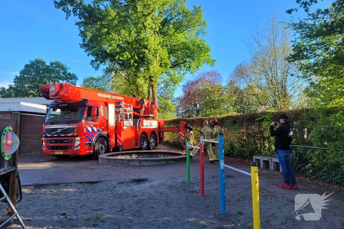 Grote tak dreigt op school te vallen