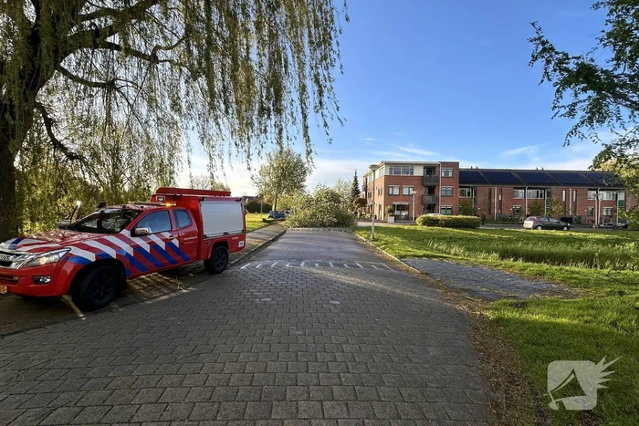 Omgewaaide boom belandt op weg