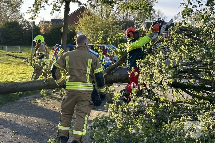 Omgewaaide boom belandt op weg