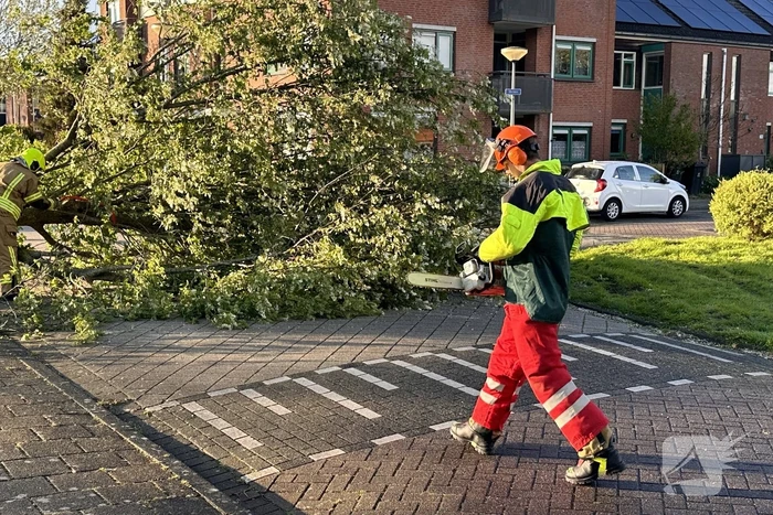 Omgewaaide boom belandt op weg