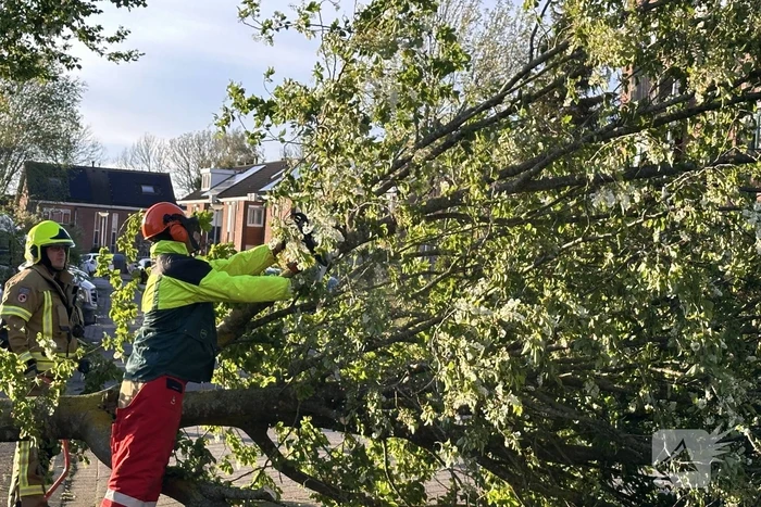 Omgewaaide boom belandt op weg