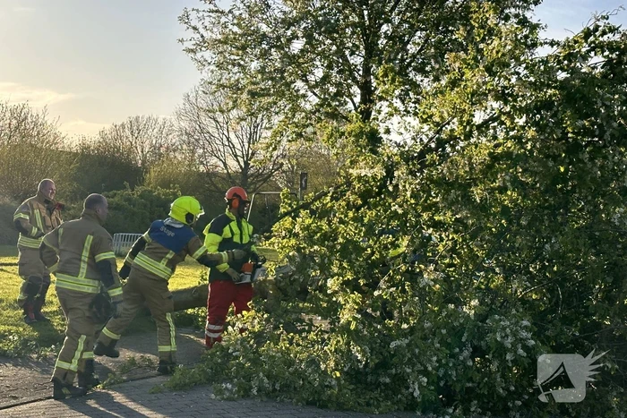 Omgewaaide boom belandt op weg