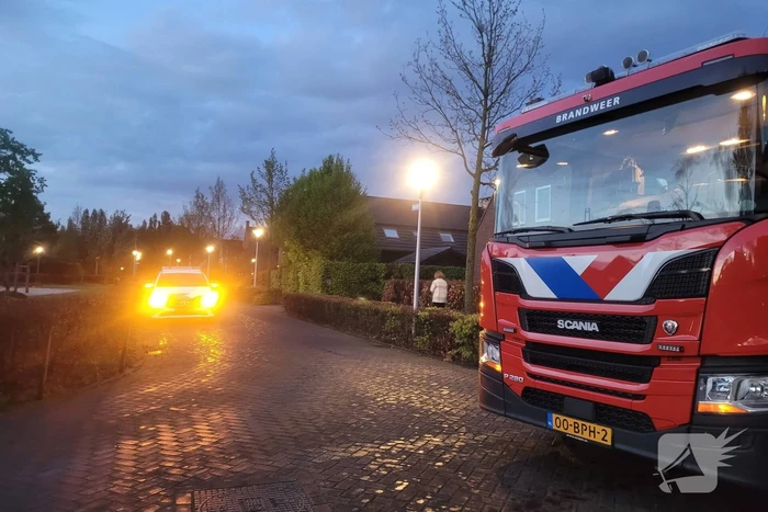 Brandweer blust brandende schoorsteen