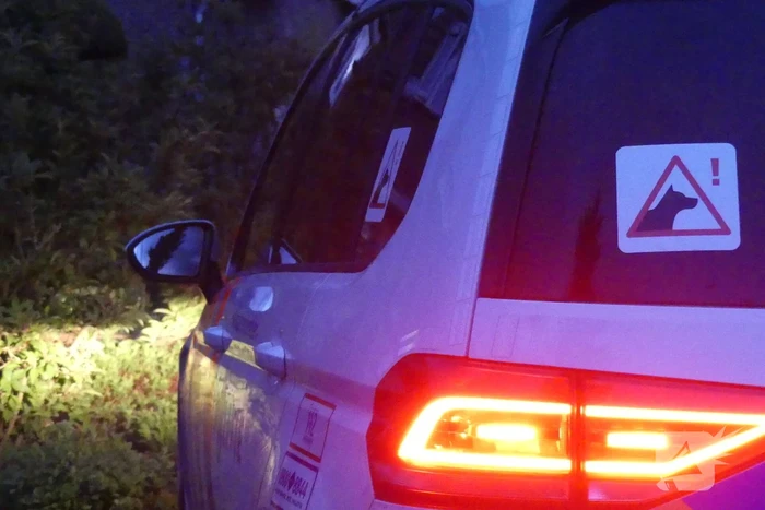Persoon aangehouden midden in woonwijk, politie doorzoekt huis