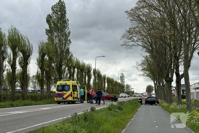 Auto's fiks beschadigd bij frontale aanrijding