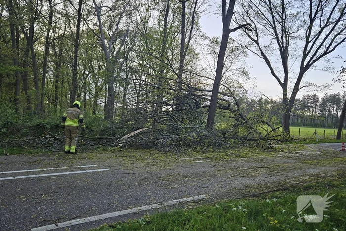 Boom valt om en belandt op provinciale weg