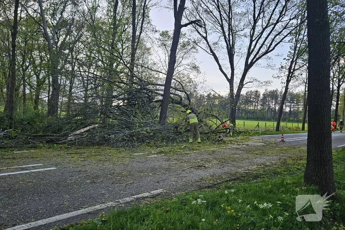 Boom valt om en belandt op provinciale weg