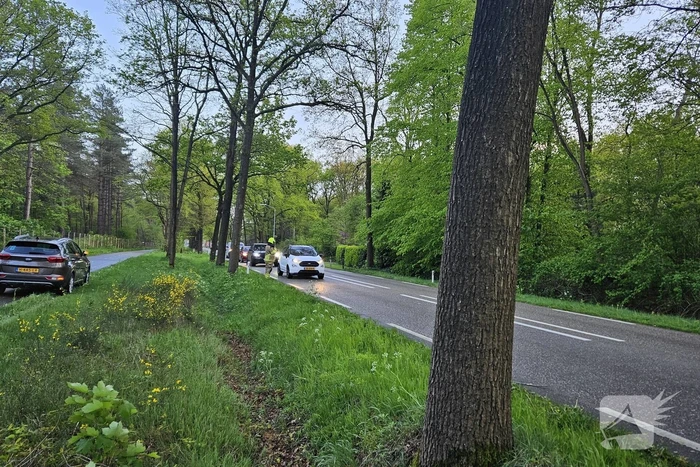 Boom valt om en belandt op provinciale weg