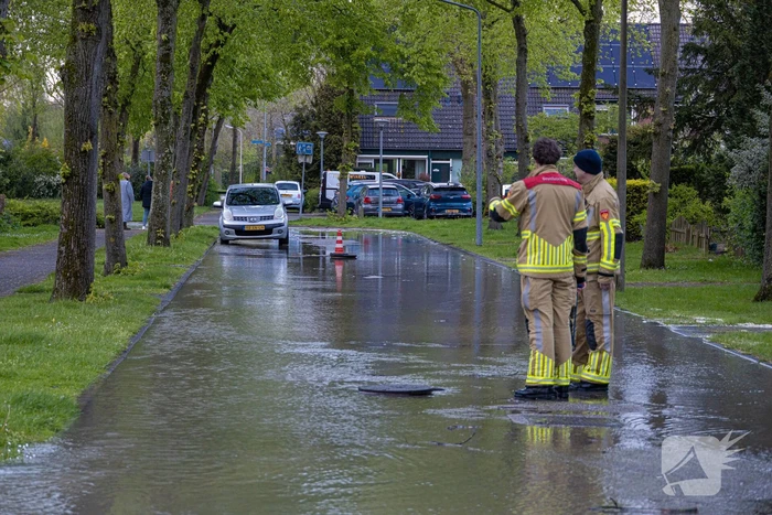 waterlekkage zegge huizen
