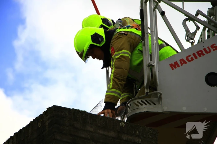 Brandweer ingezet voor dier in nood