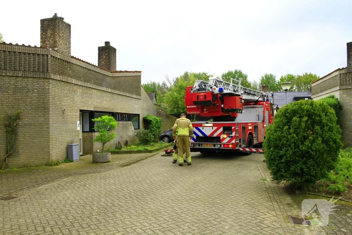 Brandweer ingezet voor dier in nood
