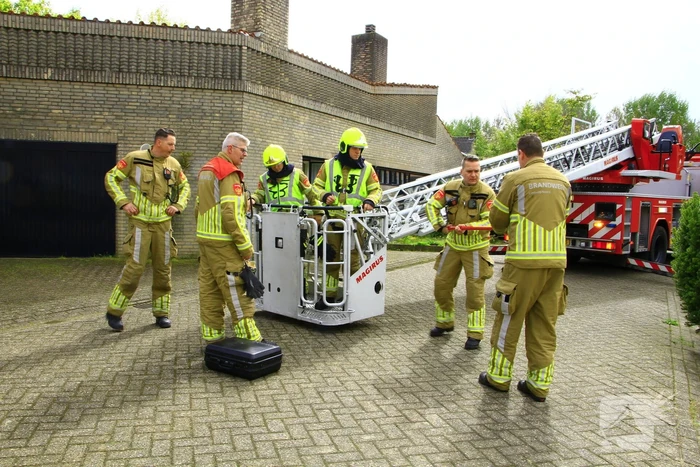 Brandweer ingezet voor dier in nood