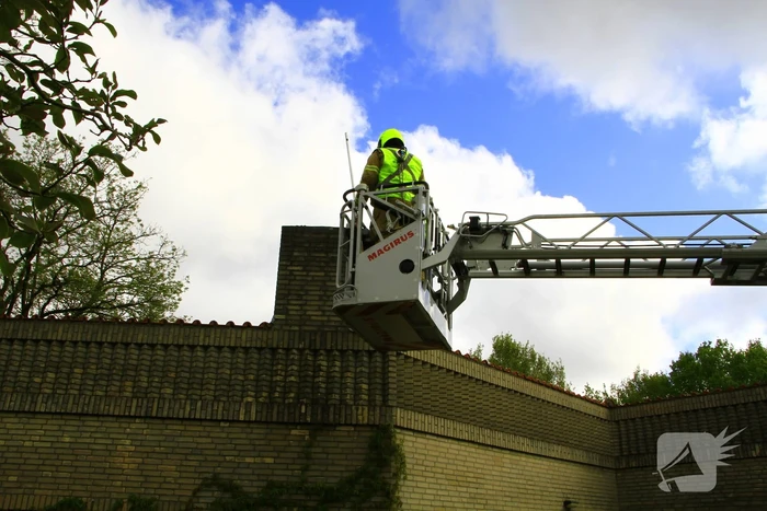 Brandweer ingezet voor dier in nood