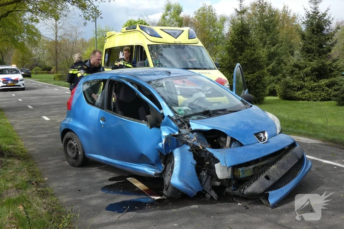 Automobilist botst tegen boom