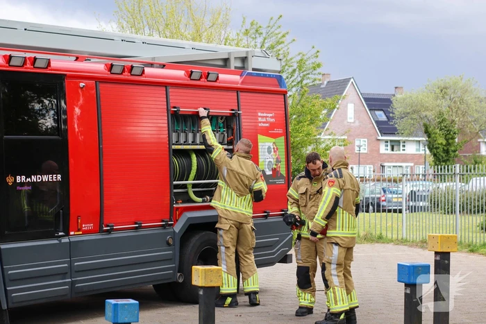 Brandweer blust brandende boom