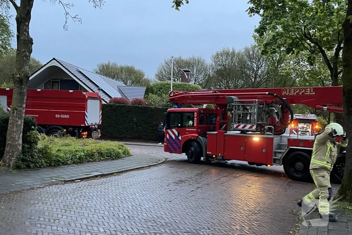 brand reestplantsoen meppel