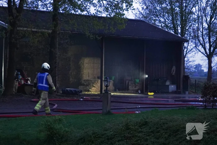 Jongvee gered tijdens trekkerbrand in kapschuur