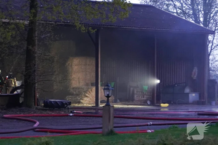 Jongvee gered tijdens trekkerbrand in kapschuur