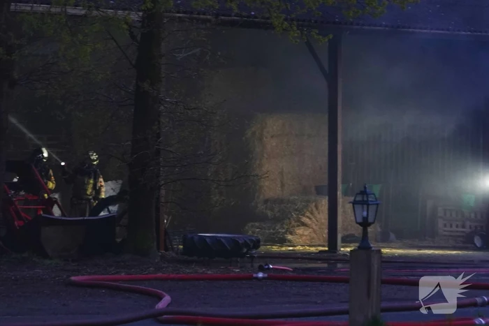 Jongvee gered tijdens trekkerbrand in kapschuur