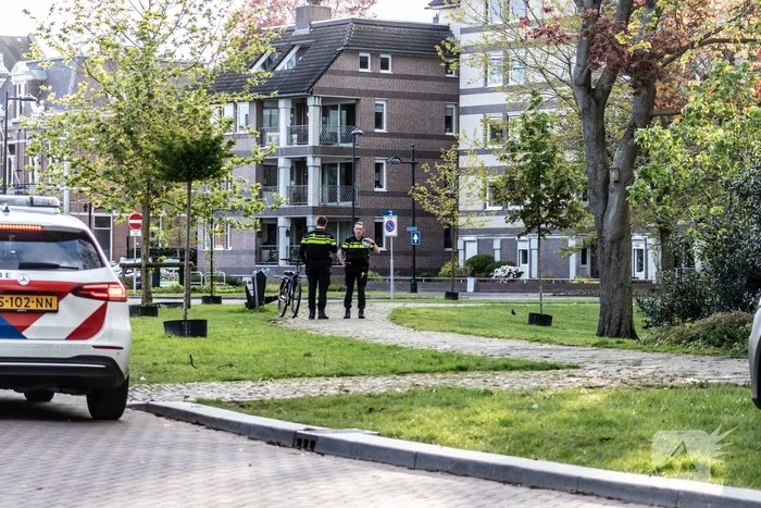 steekincident wilhelminapark breda