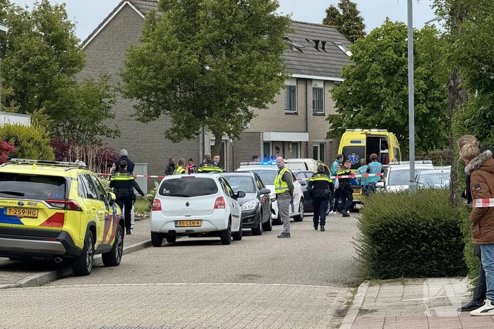 steekincident saffier duiven