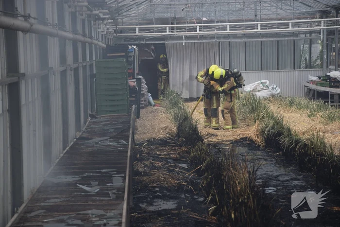 Brand in kas veroorzaakt veel rookontwikkeling