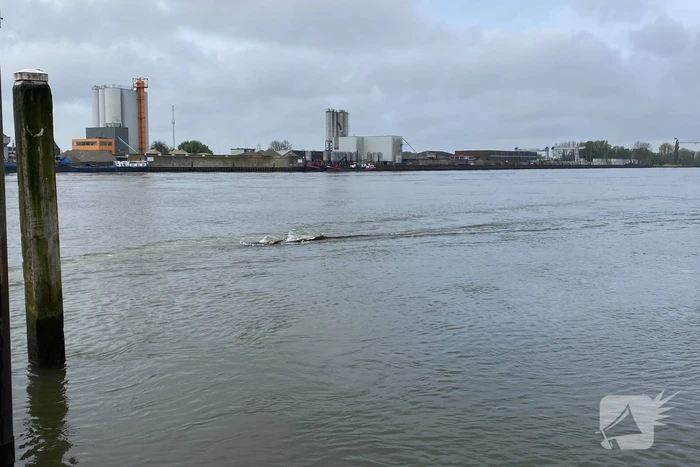 Brandweerboot sleept boom uit rivier