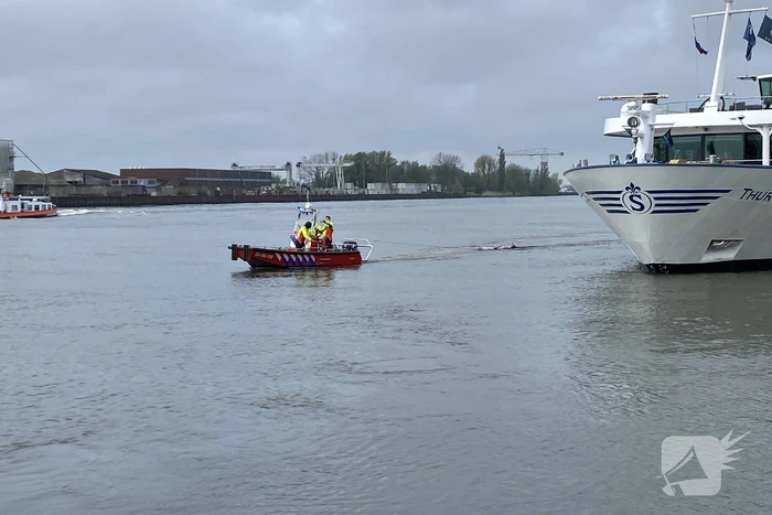 Brandweerboot sleept boom uit rivier