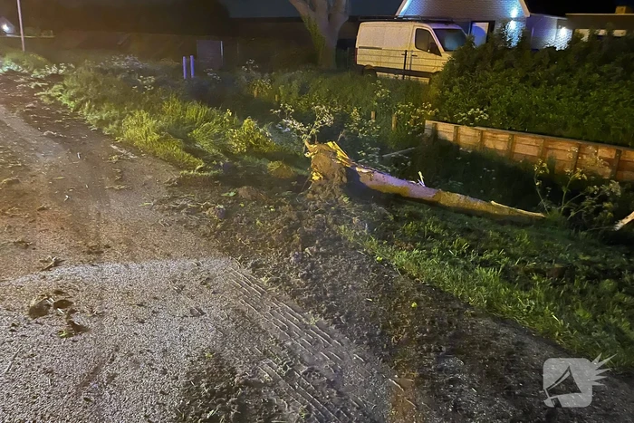 Vrachtwagen ramt boom en belandt op zijkant in sloot