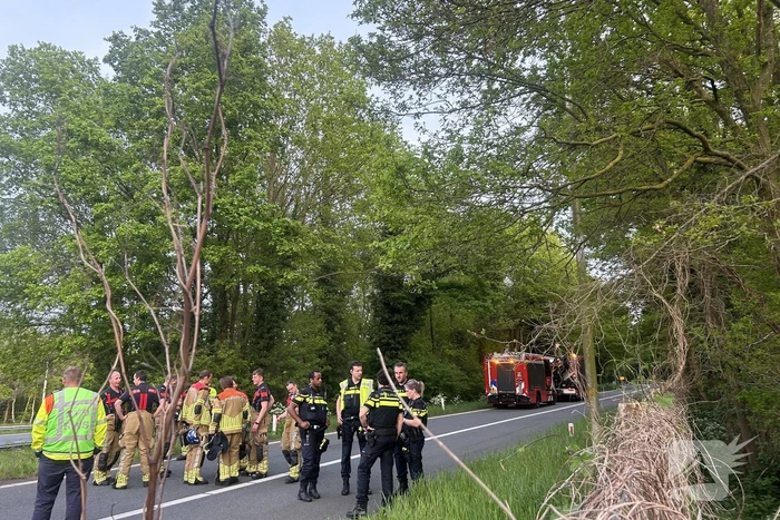 Auto verliest controle over stuur en knalt tegen boom