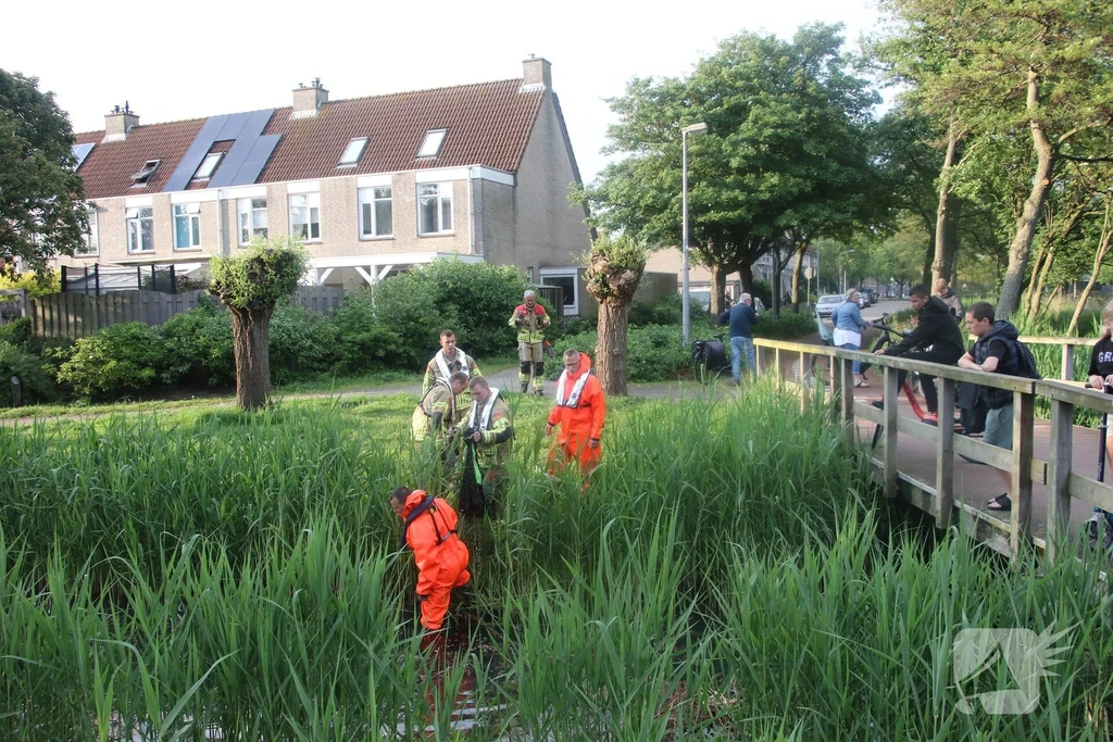 Dr. W. Dreesstraat Nieuws Katwijk 