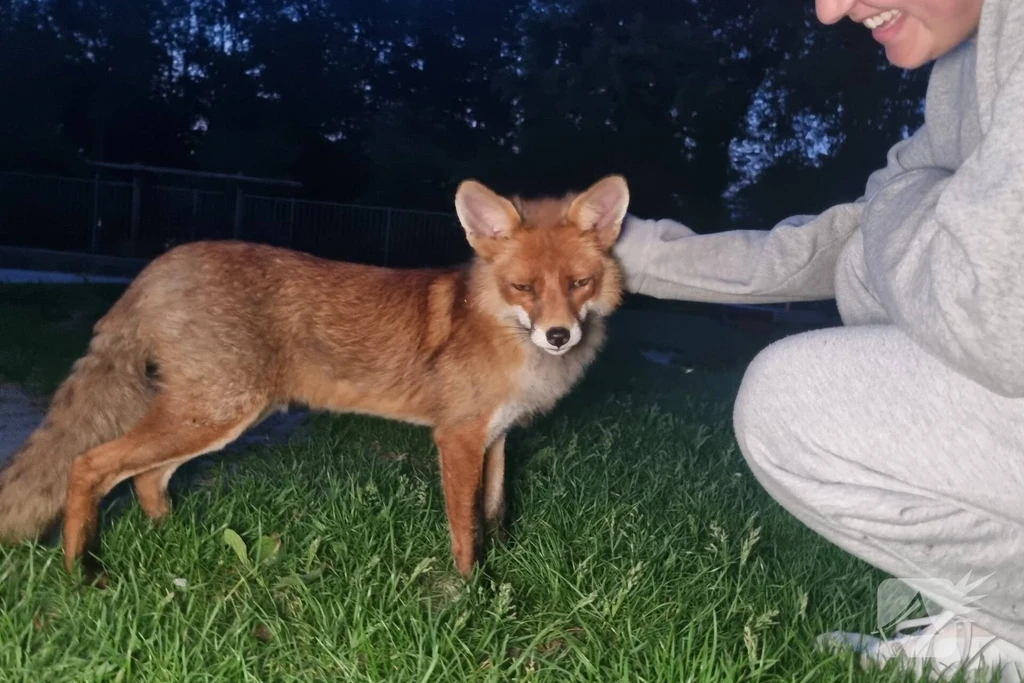 Woldpark 112 nieuws Lelystad 