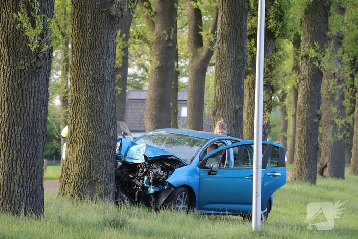 Bestuurder ernstig gewond na frontale botsing tegen boom