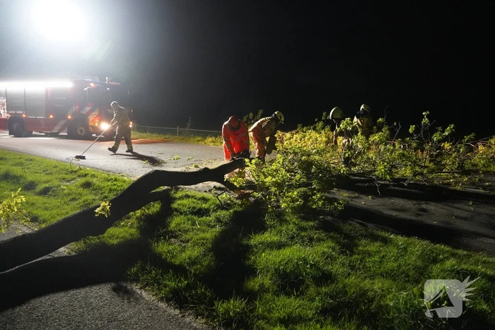Weg geblokkeerd na omvallen boom