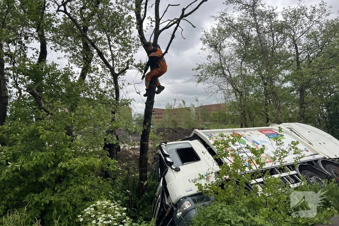 Vuilniswagen glijdt de bosschages in