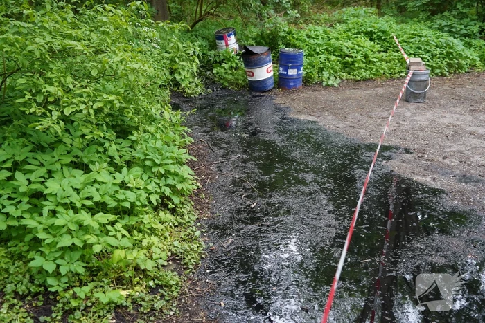 Dumping van vaten in Streekbos