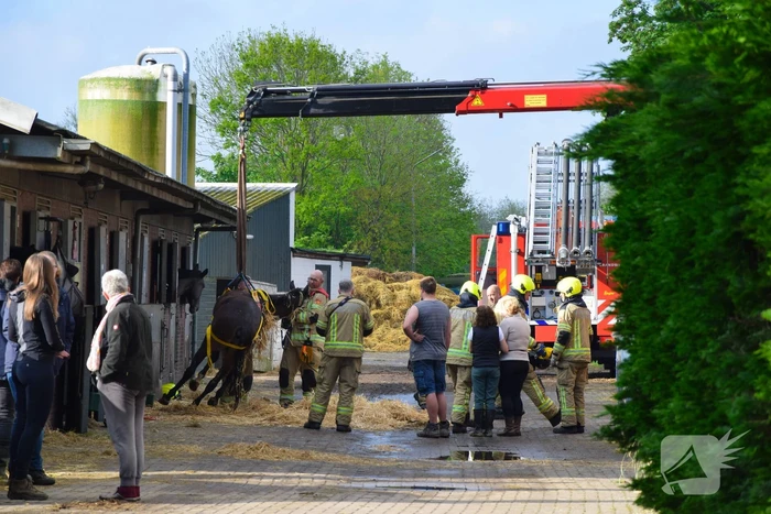 nieuws stoofweg renesse