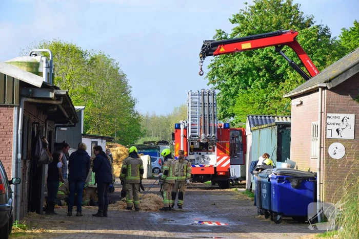 Brandweer ingezet nadat paard niet meer zelfstandig opstaat