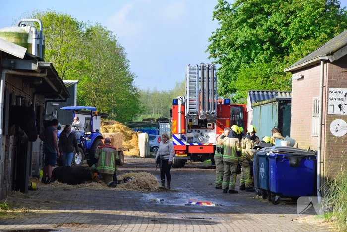Brandweer ingezet nadat paard niet meer zelfstandig opstaat