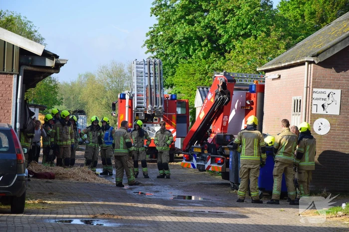 Brandweer ingezet nadat paard niet meer zelfstandig opstaat