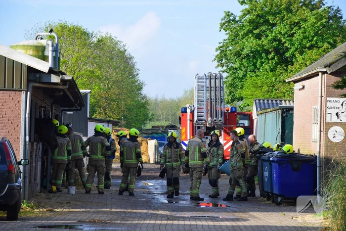 Brandweer ingezet nadat paard niet meer zelfstandig opstaat