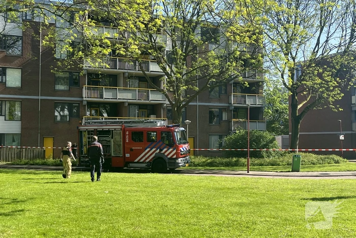 nieuws justus van effenhove zoetermeer