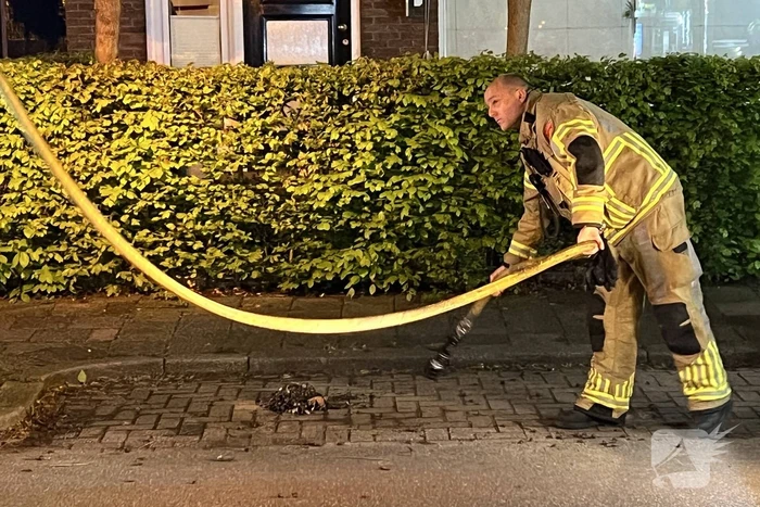 Schoorsteenbrand snel onder controle