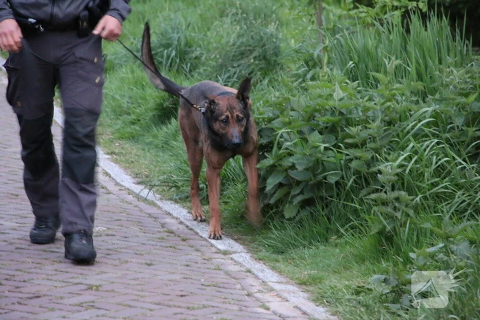 Aanhouding op volkstuinencomplex na bedreiging