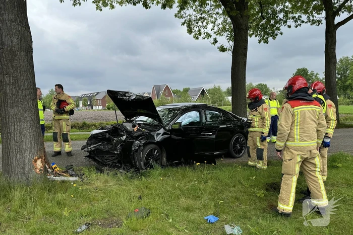 Automobilist raakt van de weg, knalt tegen boom