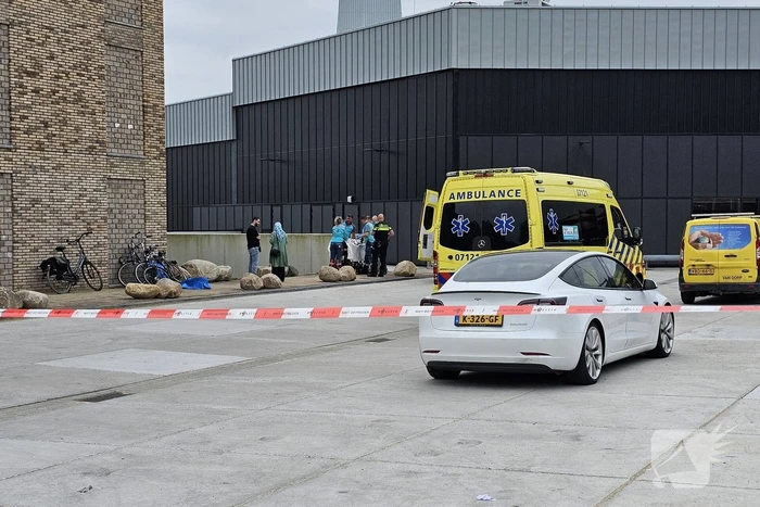 nieuws polar bearsplein ede