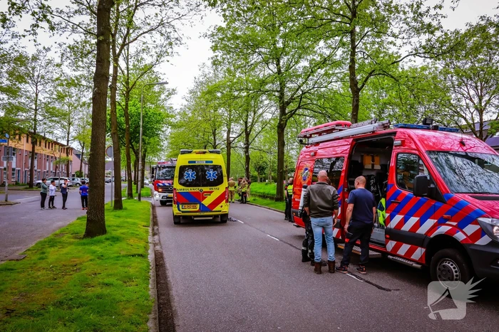 Broer springt in het water om zusje te redden